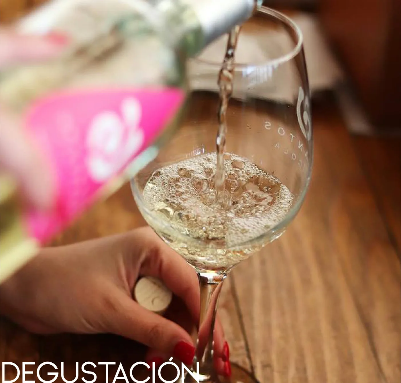 Cata de vino en Decantos